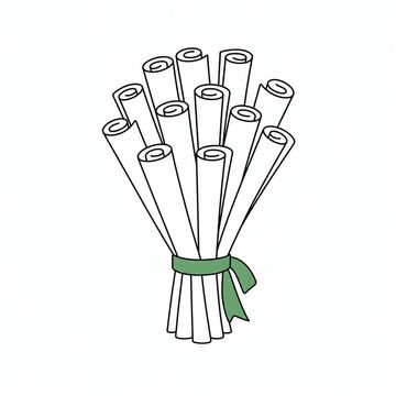 Line illustration: a bridal bouquet in which every stem ends in a tightly rolled paper scroll instead of a flower, each scroll blank with no lettering or numerals anywhere, the ribbon binding the stems and one scroll the accent colour