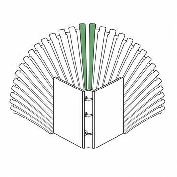 Line illustration: a three-ring binder standing open on its end with several dozen index tab dividers fanned out behind it in a wide semicircle like an open hand fan, every tab blank and unmarked with no lettering or numbers of any kind, the two tallest tabs the accent colour