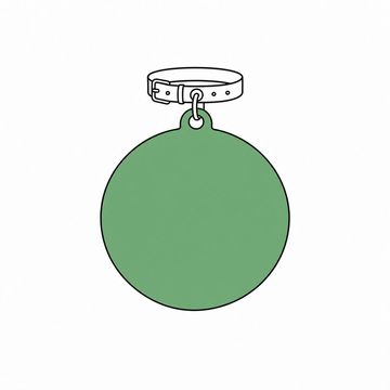Line illustration: a small leather pet collar lying flat with a hanging identity tag many times larger than the collar itself, the tag face completely blank with no engraving, lettering, numbers or symbols anywhere, the oversized tag the accent colour